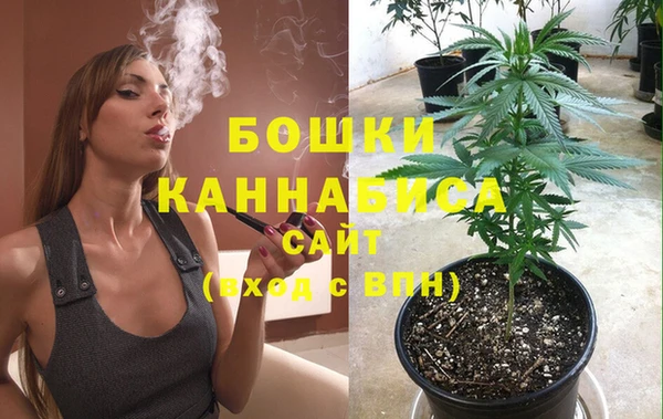 прущие грибы Богданович