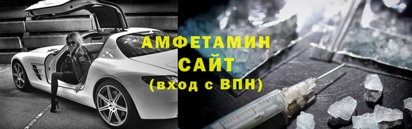 прущие грибы Богданович