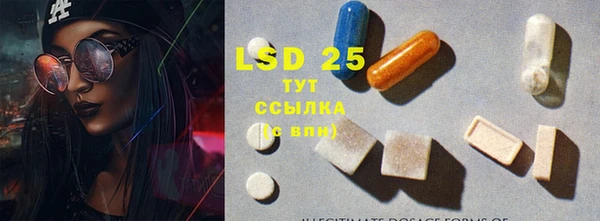 прущие грибы Богданович