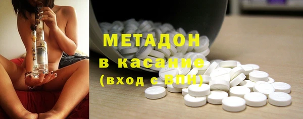 прущие грибы Богданович