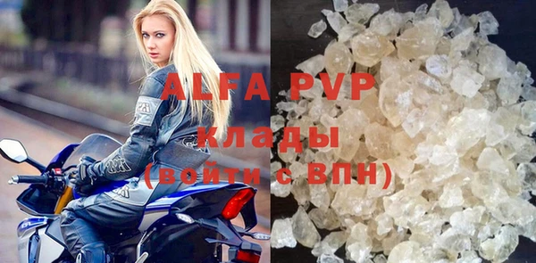 прущие грибы Богданович