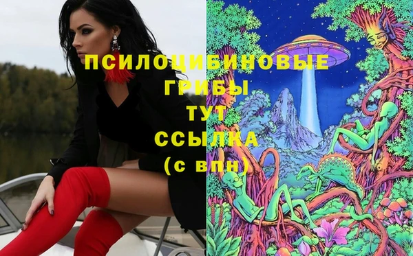 амф Богородицк
