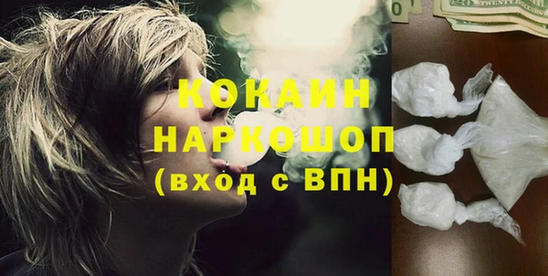прущие грибы Богданович