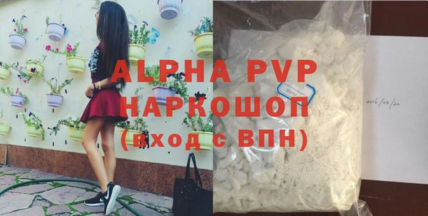 прущие грибы Богданович