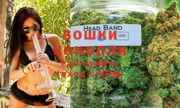 прущие грибы Богданович