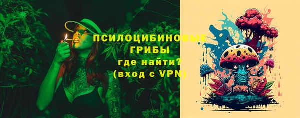 амф Богородицк