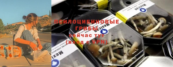 прущие грибы Богданович