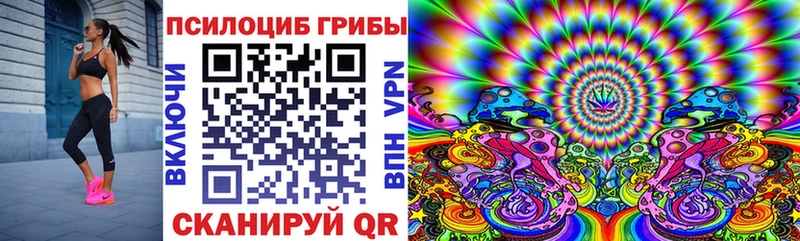 Купить где  Большой Камень  Псилоцибиновые грибы мицелий 
